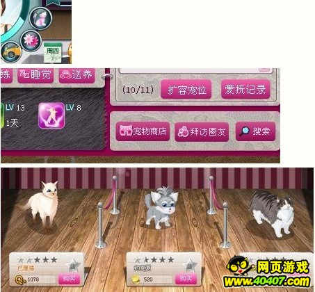 QQ时尚都市宠物获得方法\/类型\/属性\/技能\/互动