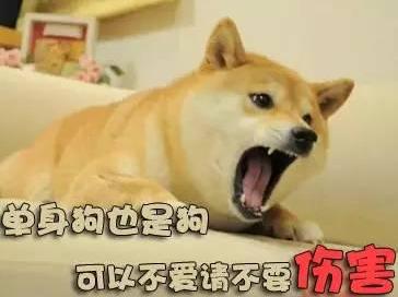《进击的波利》神秘星座拯救单身狗