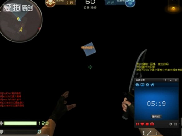 bug