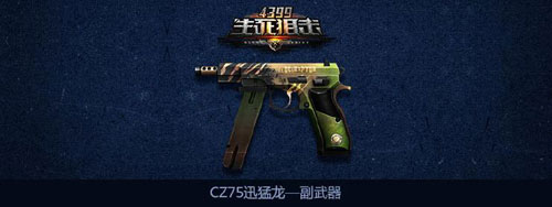 ѻCZ75Ѹϸ