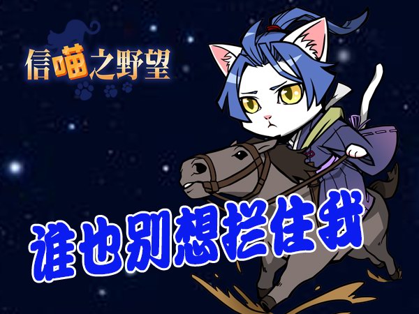 《信喵之野望》道场迎圣诞 福岛喵广快马定胜局