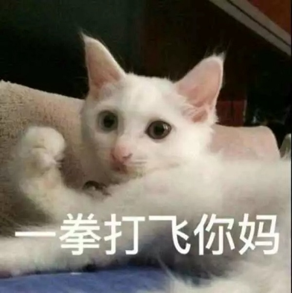 Ӣ��֮��ǧ��Ҫ��Сѧ����������������