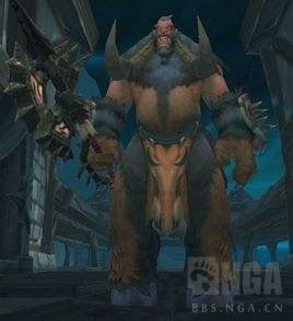 WOWе׽ɫ̵¯ʯȿԭͣ壩