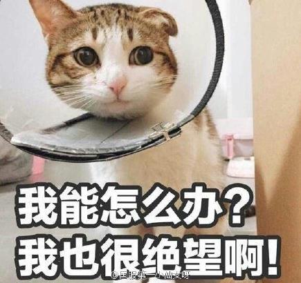 ҫ ҵɱͼ