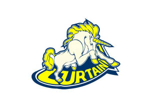 cfΣȫ׸SSսӡCurTainר
