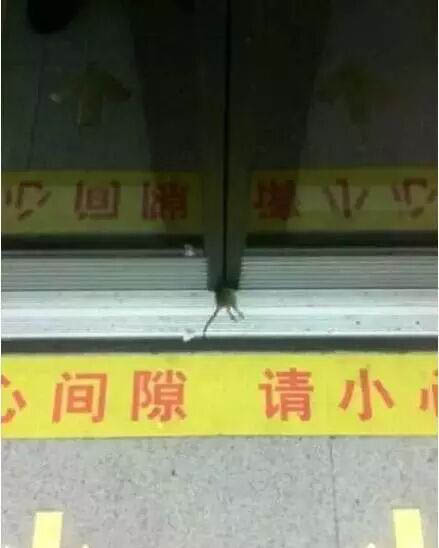 CFMڵ󱧱˹