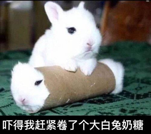 Ϊ˵ҵĶѲܶСѧ