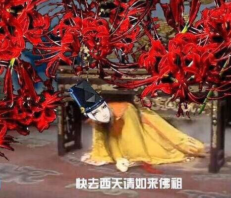 ʦ˰Ц
