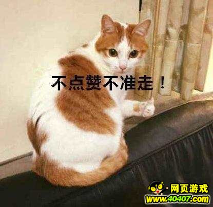 ¯ʯƲ °Է