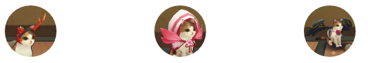 ʦ ƽ